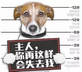 ⭐哪里买
珍爱网一手老号
怎么买